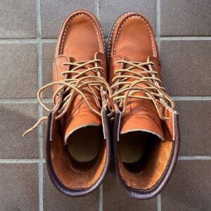 元旦にお外デビューを控えたアイリッシュセッター3375を玄関で上から撮影した写真