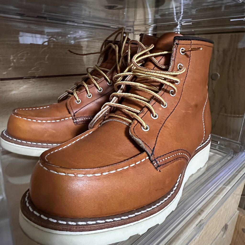 元日のお出かけから帰宅後、ケースに戻したアイリッシュセッター3375